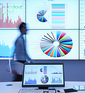Economic and Sector Studies