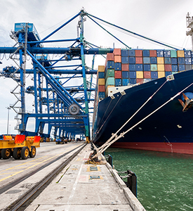 Risk&Opportunities - Shifting specialisation patterns: A worldwide view