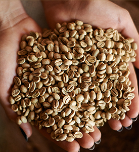 From land to ocean, reducing the impact of coffee and cocoa