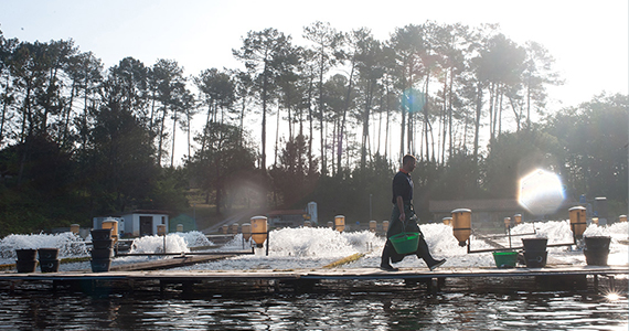 Preserving water, oceans, while supporting sustainable food production in France