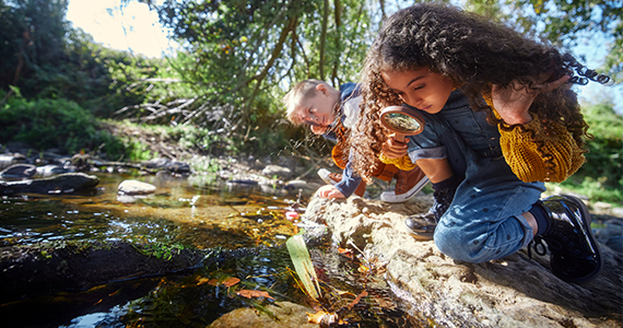 The Societe Generale Corporate Foundation strengthens its environmental commitment