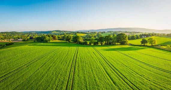 Tangible local actions supporting climate and nature