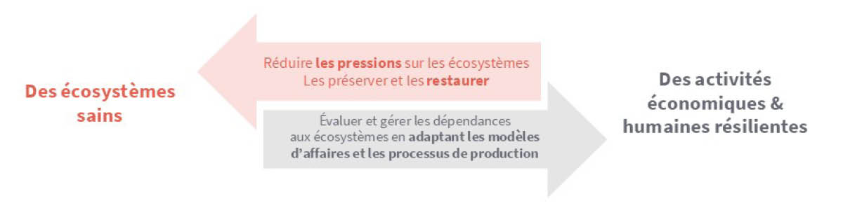 Diagramme directionnel montrant une transition vers des écosystèmes sains et des activités économiques et humaines résilientes