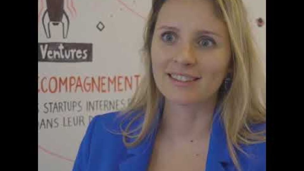 Preview image for the video "Open Innovation et Open Banking".