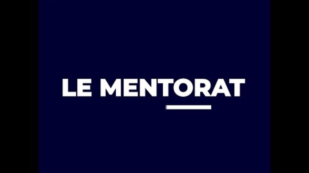 Preview image for the video "Synthèse sur le mentorat".