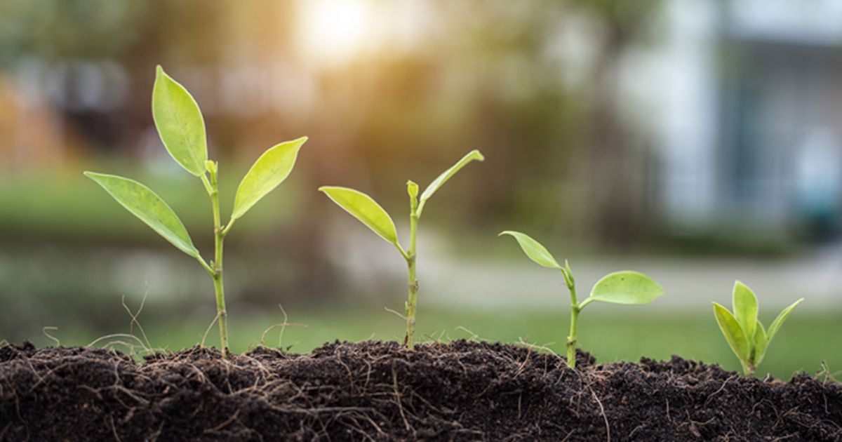 Shine, the neobank for entrepreneurs - Société Générale